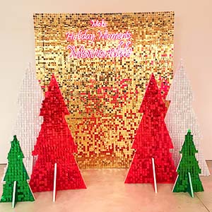 Decorazioni di Palloncini a Roma con allestimento per grandi eventi